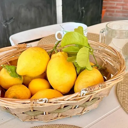 Casa de Férias Relax Among The Olive Trees And The Sea *