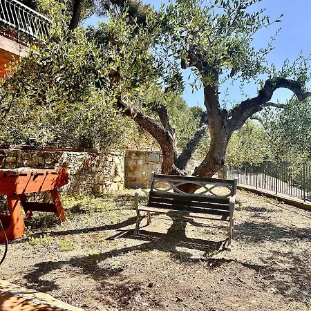 Casa de Férias Relax Among The Olive Trees And The Sea Serreta